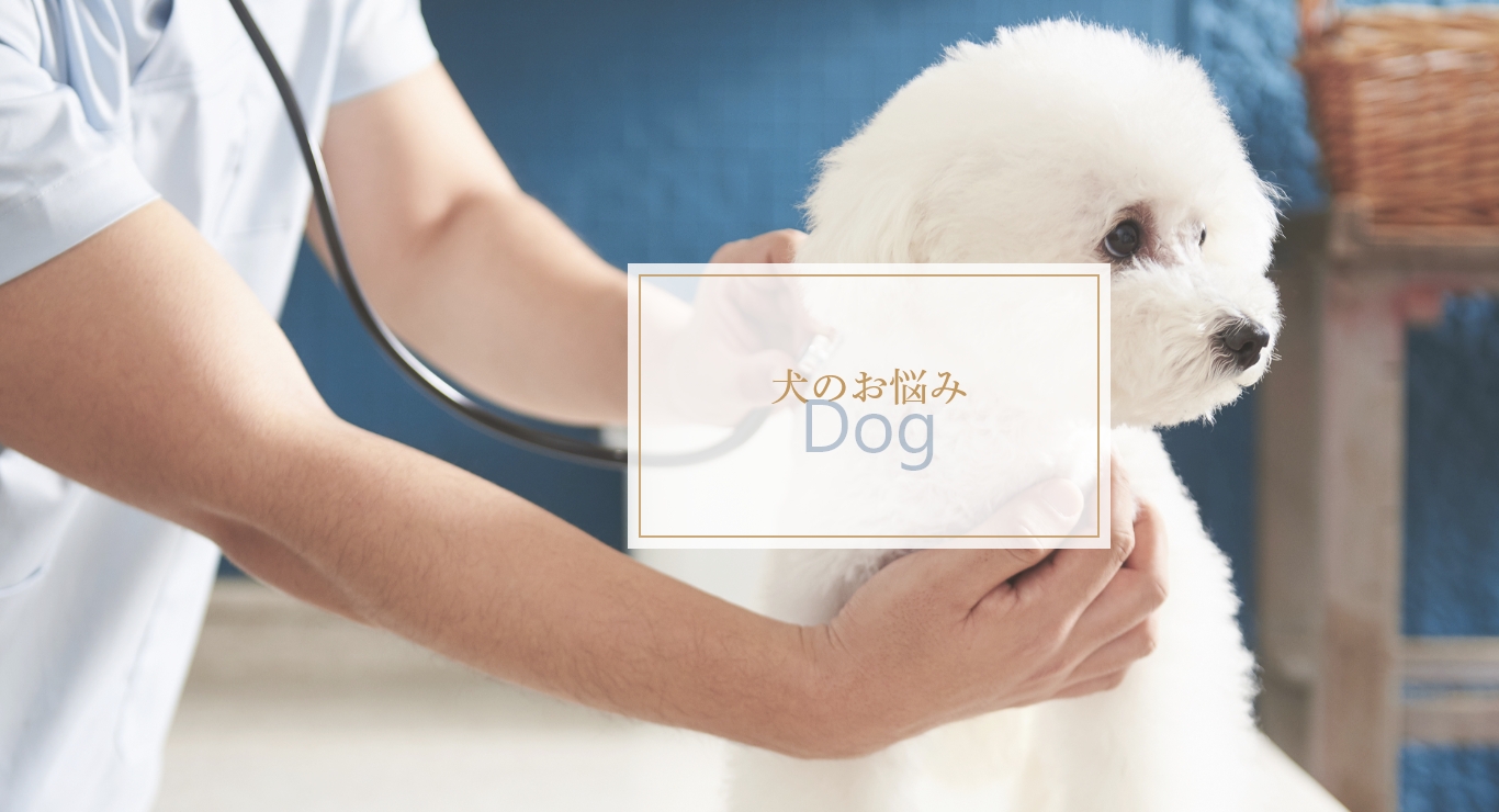 犬のお悩み