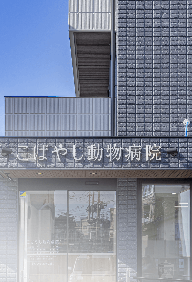 信頼のおける、質の高い獣医療を